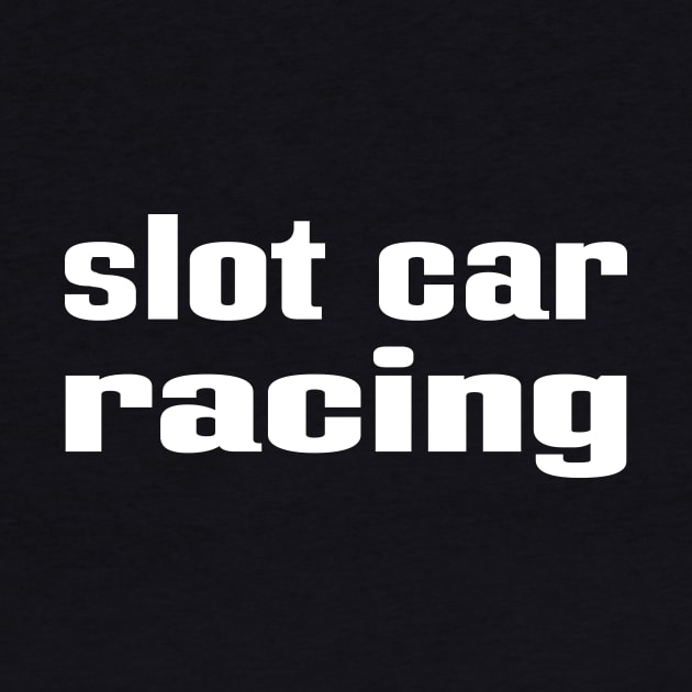 Slot Car Racing by ProjectX23